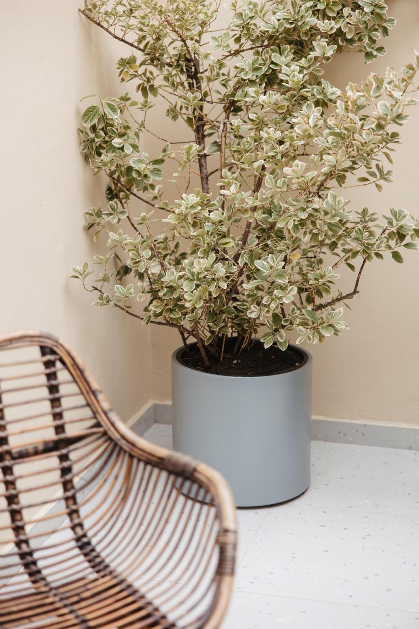 Greygreen By Holistay Tirana Buitenkant foto